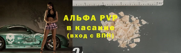 хмурый Арсеньев