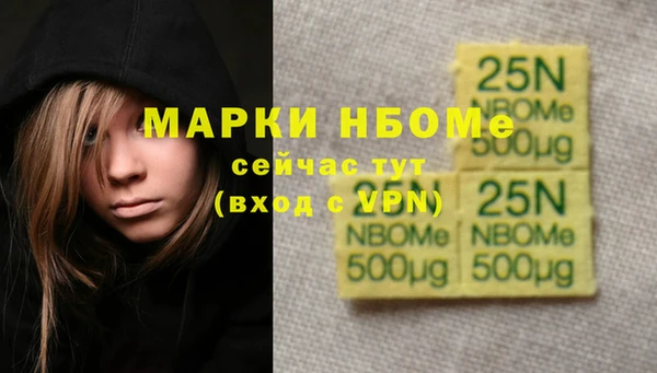 хмурый Арсеньев