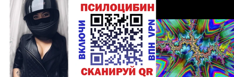 закладка  Партизанск  ссылка на мегу зеркало  Псилоцибиновые грибы мухоморы 
